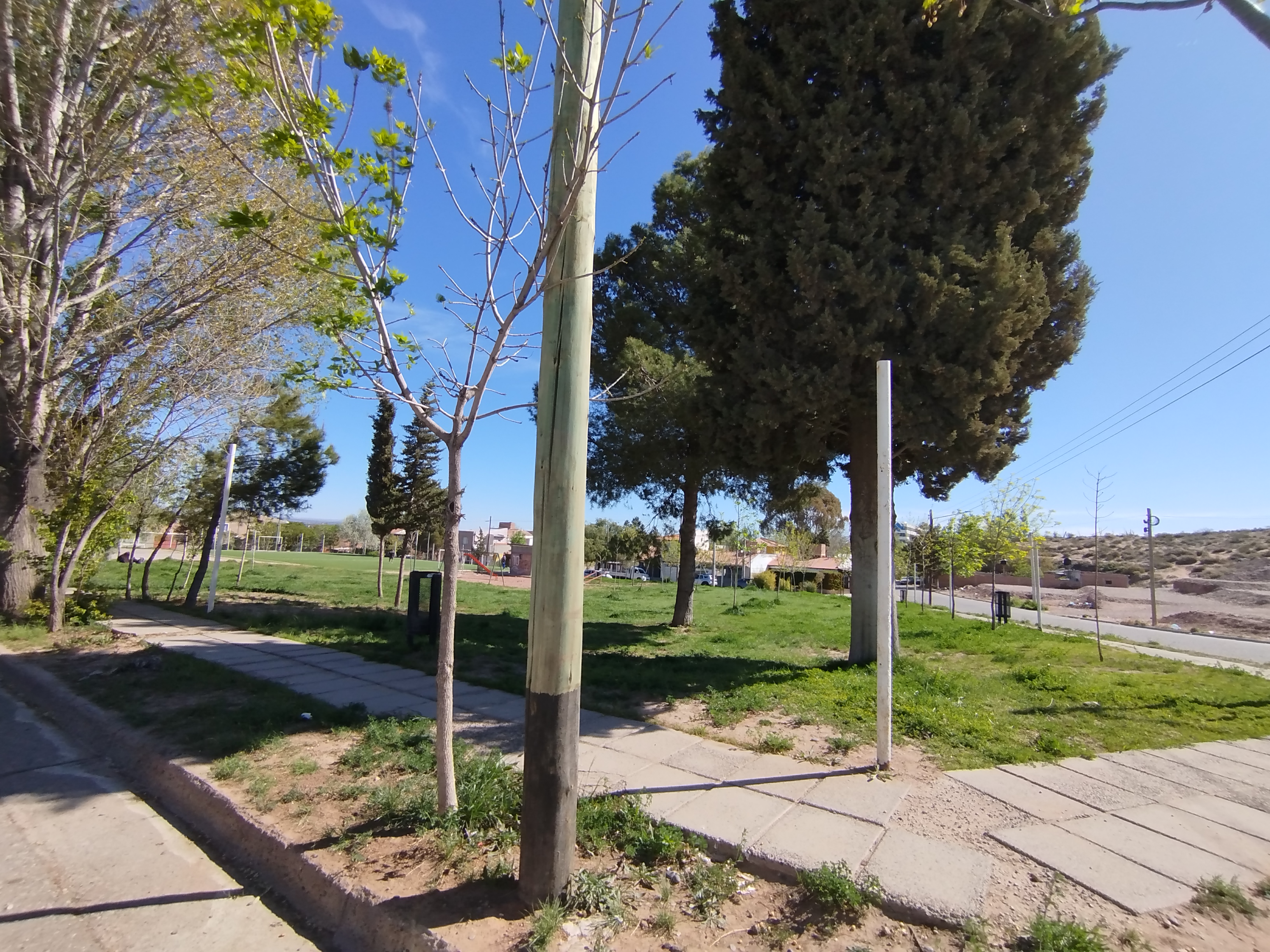 Terreno Neuquen zona nueva municipalidad - foto 10