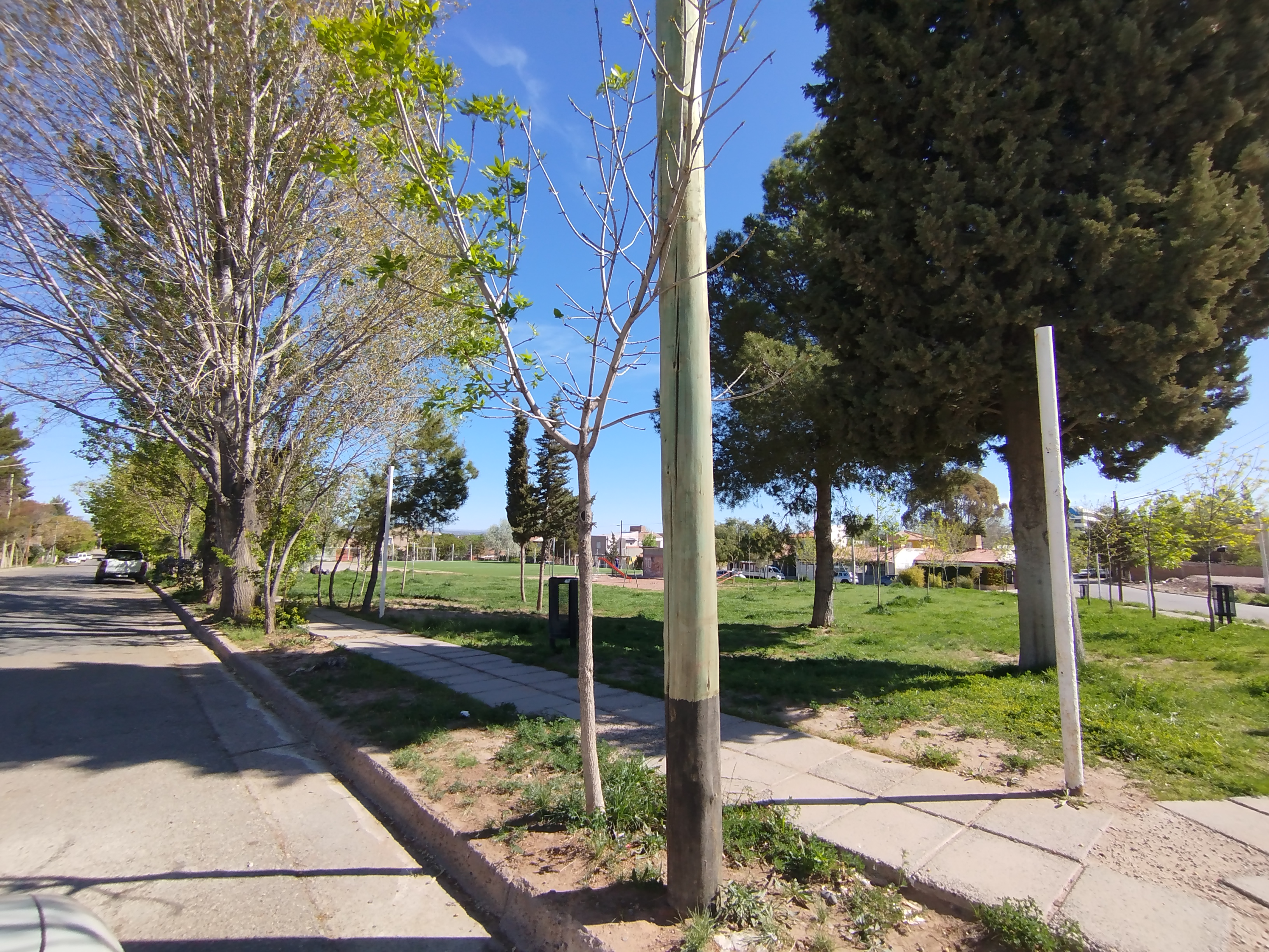 Terreno Neuquen zona nueva municipalidad - foto 11