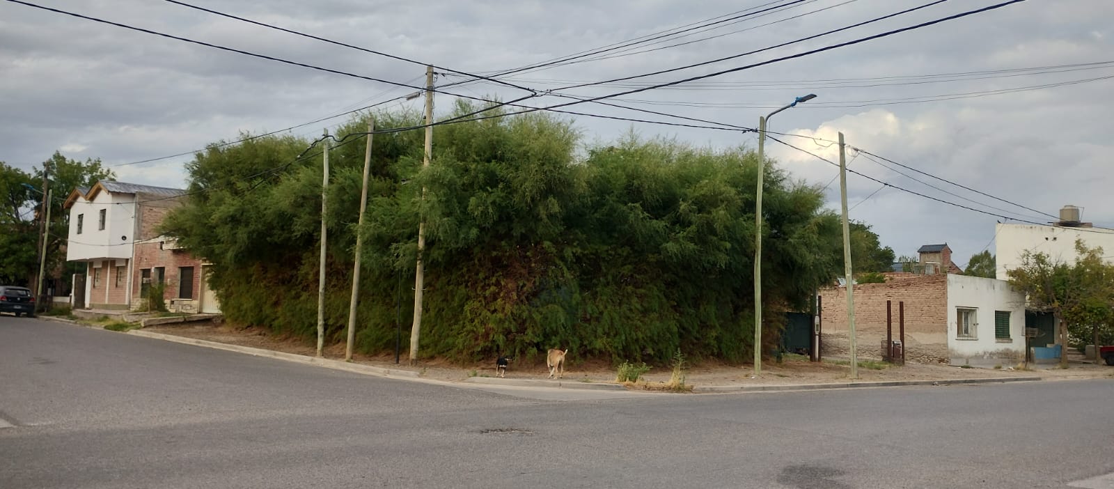 Lote en esquina · 412 m² · Apto desarrollo hasta 21 m - foto 6
