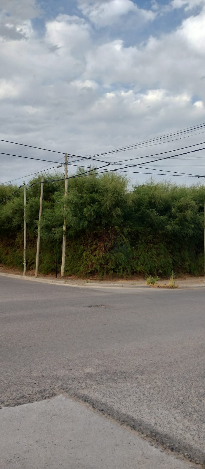 Lote en esquina · 412 m² · Apto desarrollo hasta 21 m - foto 7