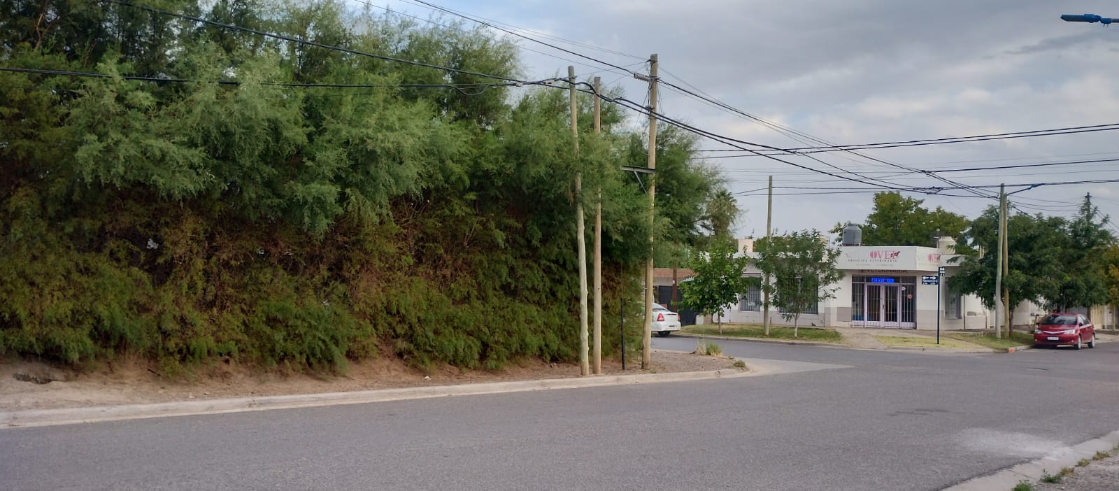 Lote en esquina · 412 m² · Apto desarrollo hasta 21 m - foto 8