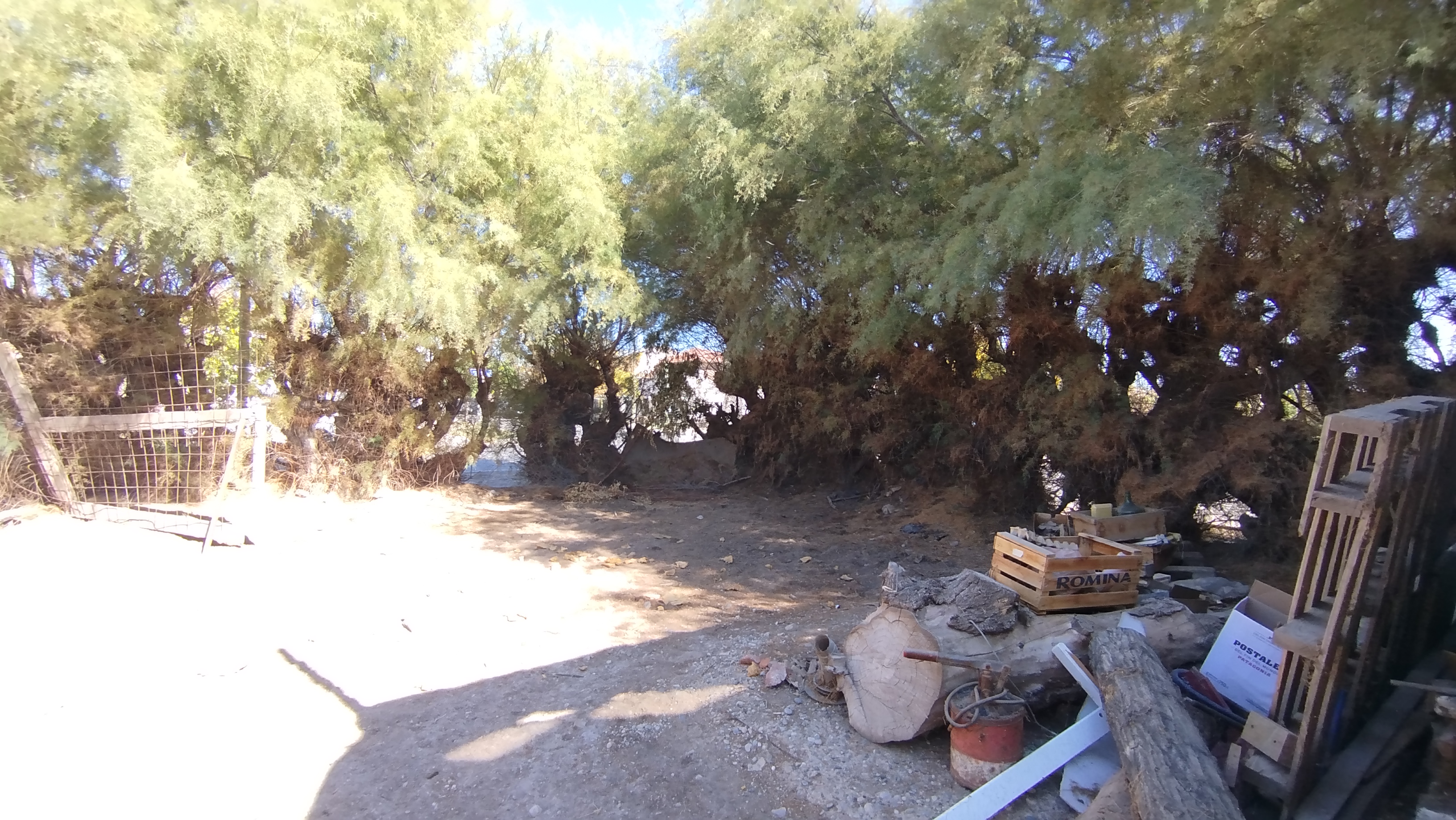 Lote en esquina · 412 m² · Apto desarrollo hasta 21 m - foto 17